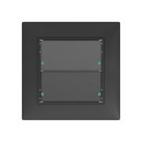 Senseur poussoir ENC SIDUS KNX type B 2/4, anthracite