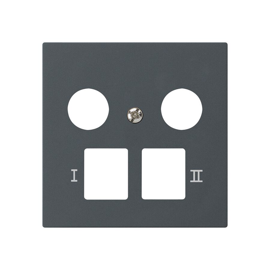 Placca frontale kallysto per R&M HWS antracite 2 fori multimedia