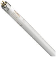 Lampada fluorescente F T5 G5 8W 840