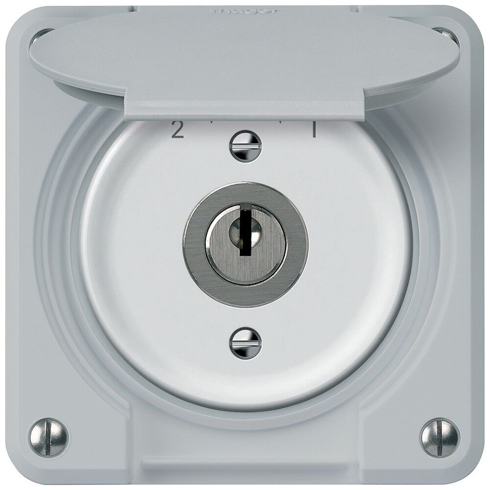 Schlüsselschwenktaster robusto 1P 2NO 2CO 20A 250V 86×86mm grau