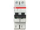 Leitungsschutzschalter SMISSLINE TP S 2×50A B 10kA