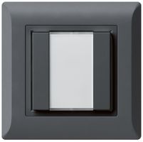 UP-Universaltaster 2×kallysto.line mit LED anthrazit