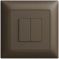 UP-Druckschalter 2K/2T WLAN Edue Wiser coffee