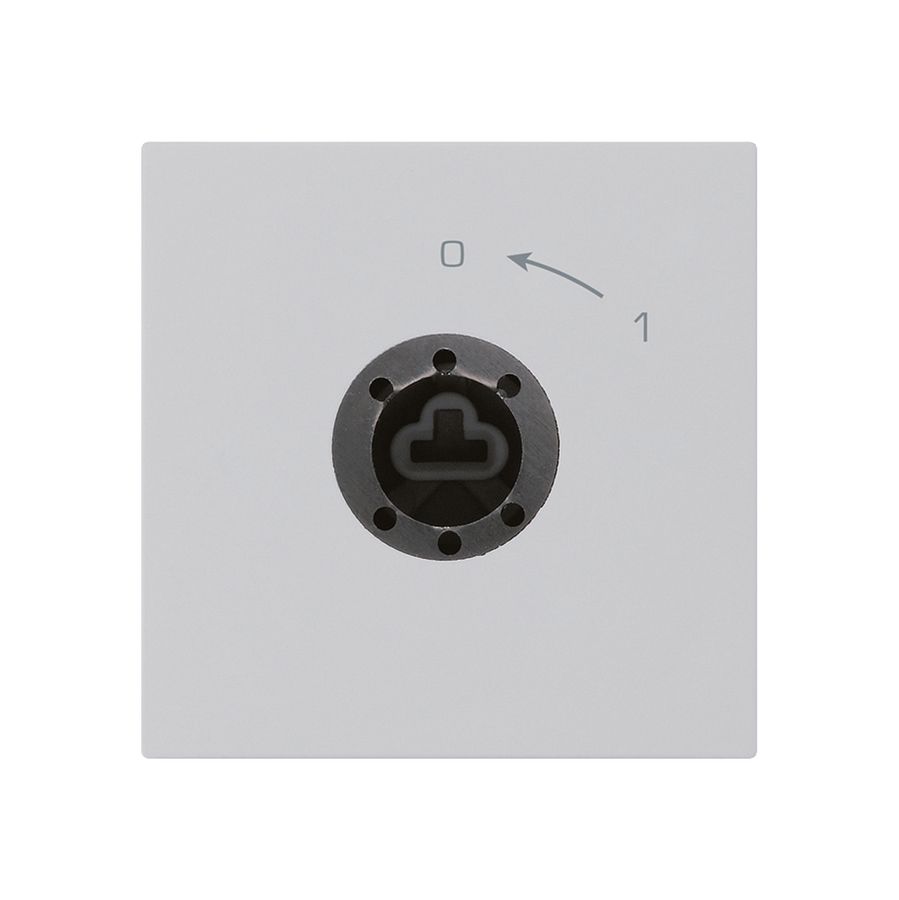 Contact pivotant 0<-1/1L gris clair kallysto pour serrure sans cylindre