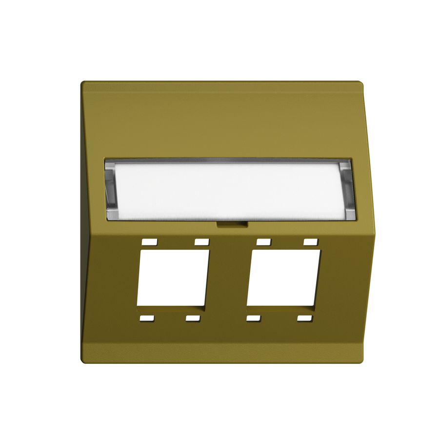 Kit montage INC EDIZIOdue F sortie oblique 2×R&M cat.5e/6/LC spécial, olive