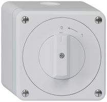 AP-Schwenktaster robusto IP55 grau 2P