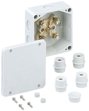 AP-Abzweigdose WK 060 6² 100×100×50mm