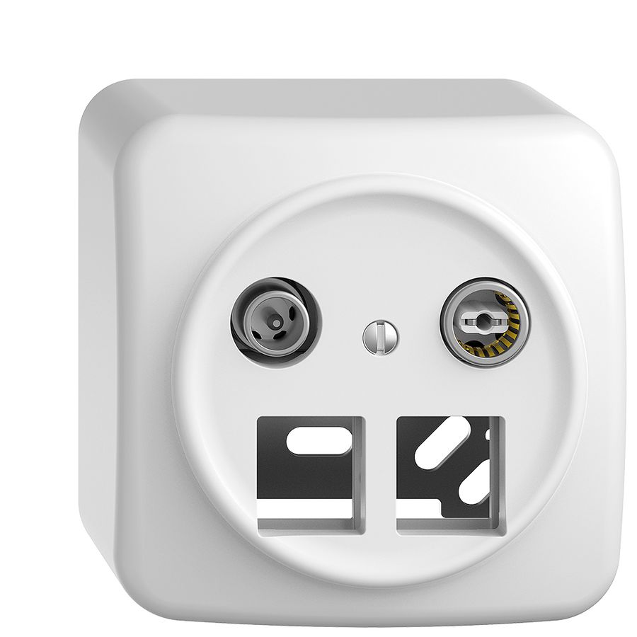 AP-Multimediadose 4dB Sdue, Stichdose, f.2×RJ45 Keystone, Frontscheibe Ø60mm, ws