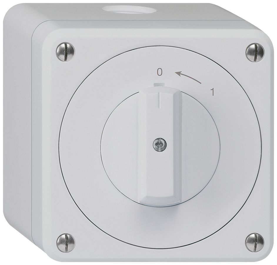 AP-Schwenktaster robusto IP55 grau 1P