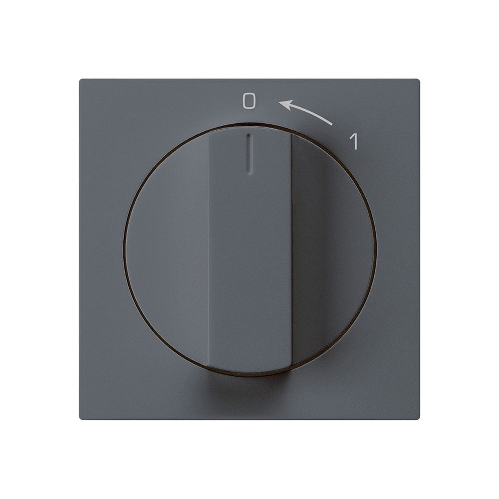 Frontset für SchwenkTaster anthrazit 60×60mm kallysto 0<-1