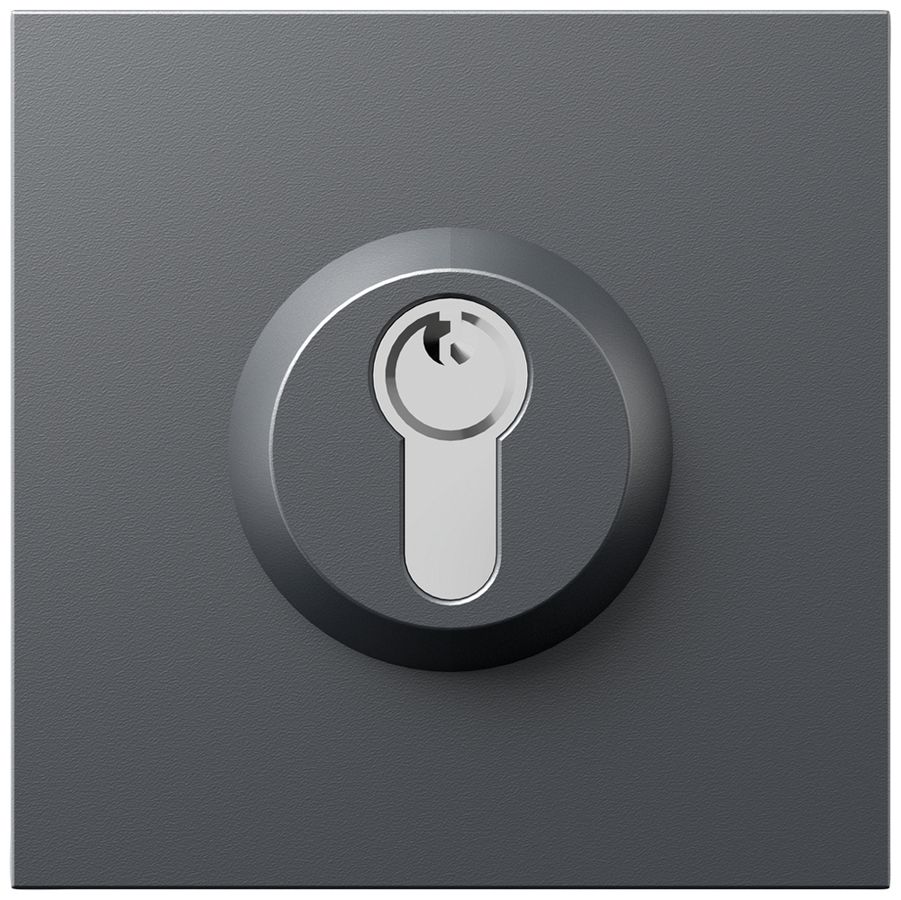 Schloss-Modul Siedle systemunabhängig 0…48V grau