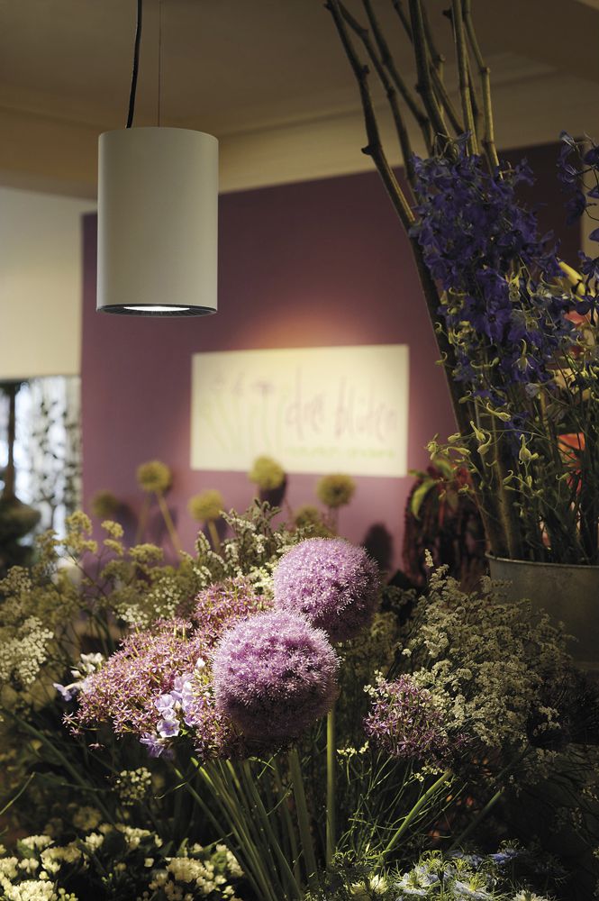 LED-Pendelleuchte SLV SUPROS 31W 2600lm 3000K 60° Ø127×185mm weiss