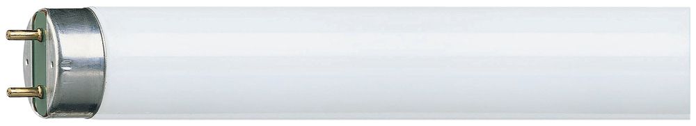 Lampe fluorescente Master TL-D  Super 80 1m 36W/865 1SL/25