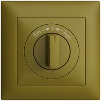 Frontset EDIZIOdue Ein->I<-Aus olive 88×88mm für Schwenktaster