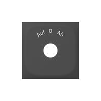 Plaque frontale SIDUS avec gravure anthracite