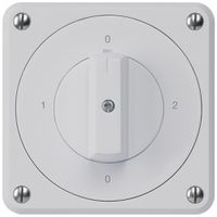 UP-Drehschalter robusto IP55 Schema 2/1P grau