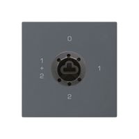 Intérieur interrupteur à clé kallysto 1/1L anthracite serrure sûreté s.cylindre