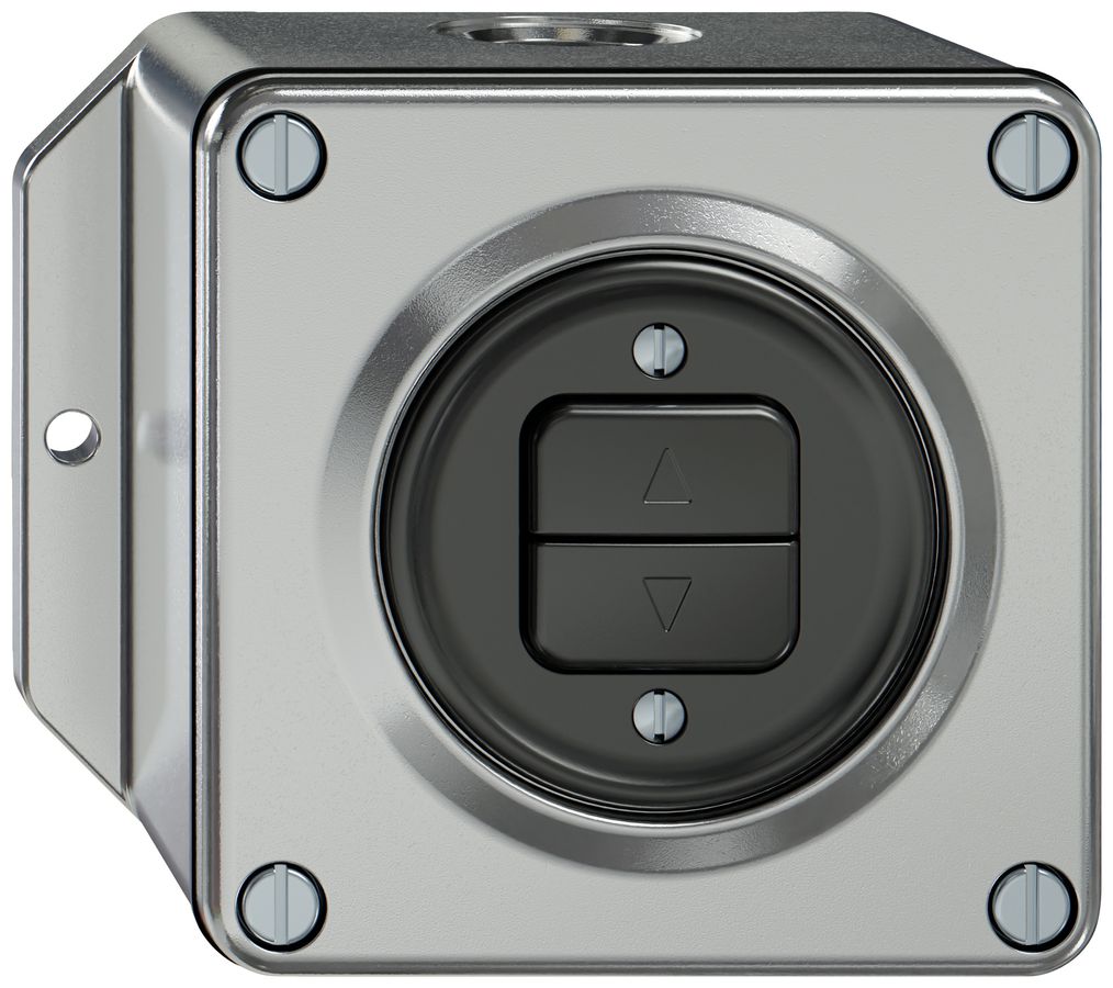 AP-Storentaster ELEMENT 1P 2 Tasten aluminium