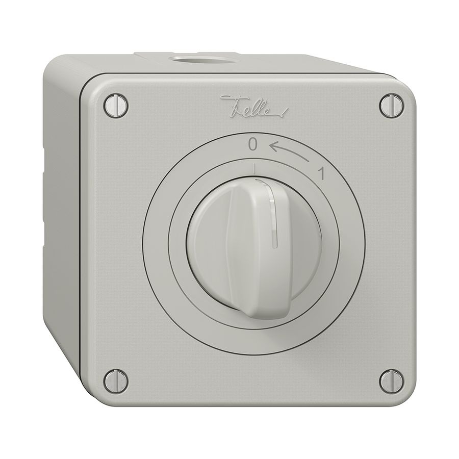 NAP-Schwenktaster NEVO, mit Drehgriff, KS, 0 <- 1, lichtgrau