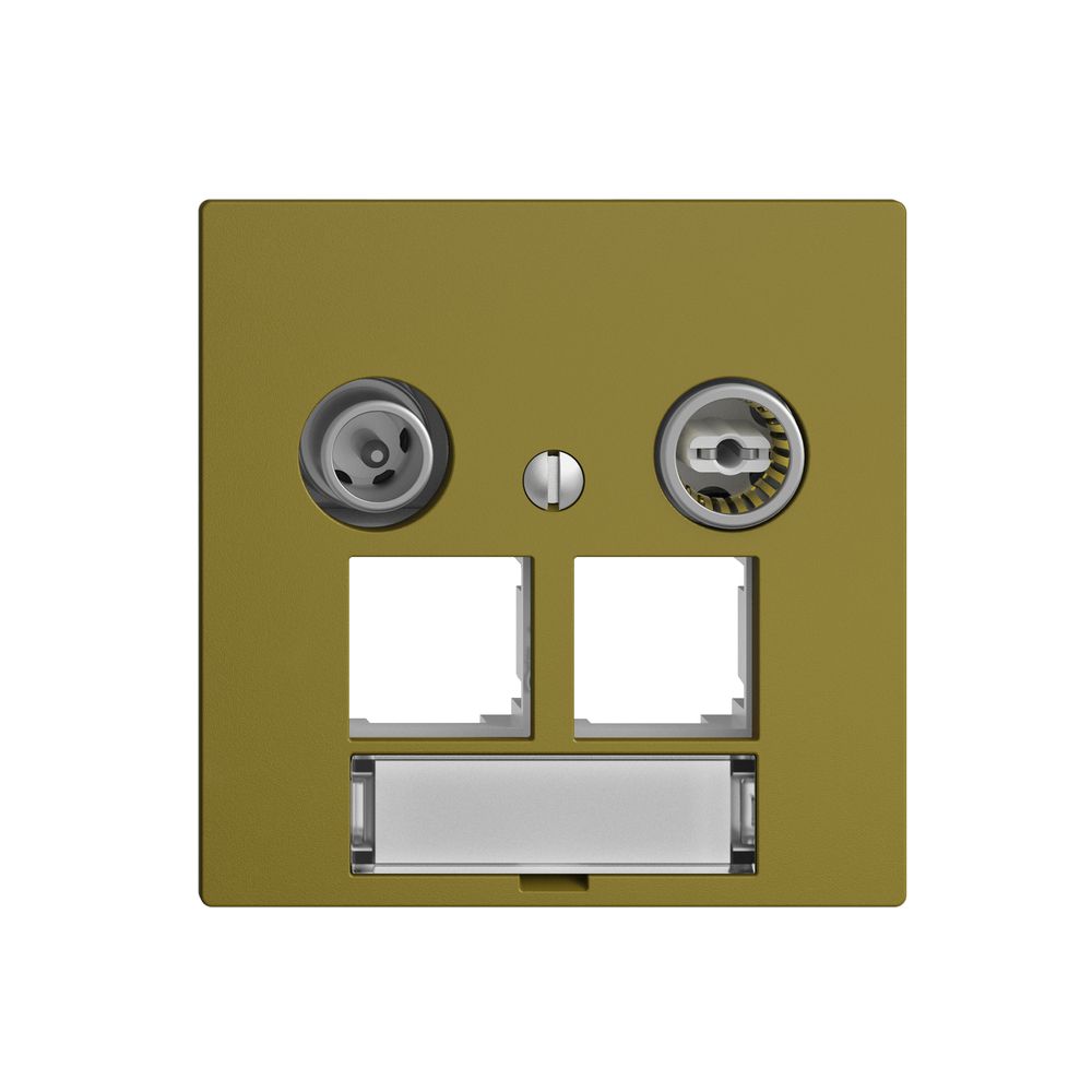 Prise multimédia EDIZIOdue F EASYNET 15dB, p.2×RJ45 S-One, olive