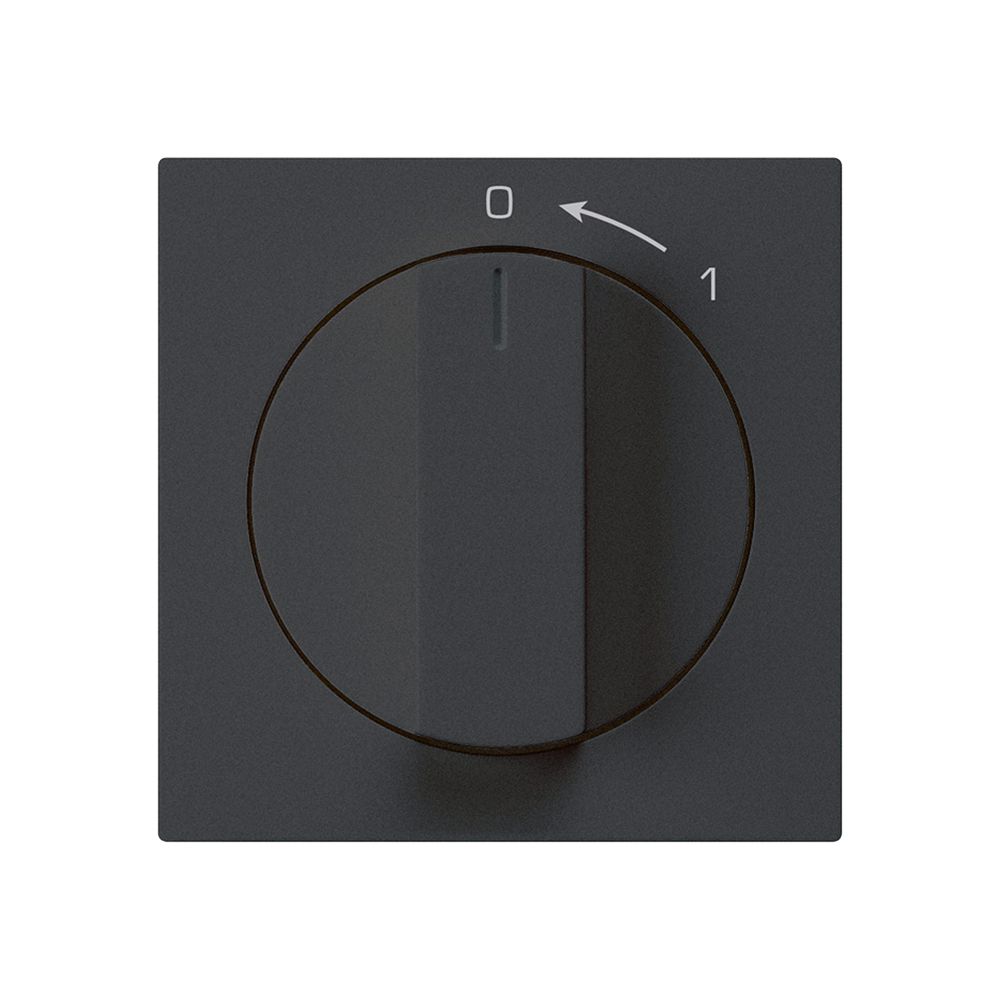 Frontset für Schwenktaster schwarz 60×60mm kallysto 0<-1