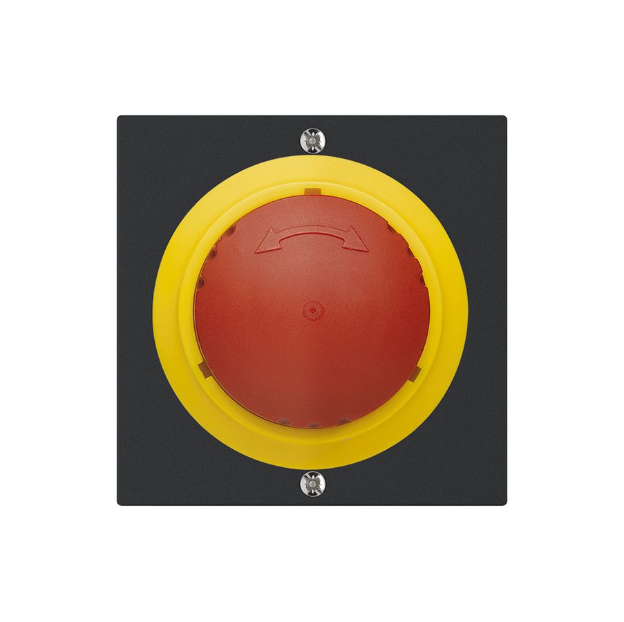 Taster kallysto NOT-AUS schwarz