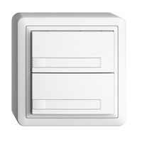 AP-KNX-Taster RGB EDUE, 250mW, o.LED, m.Papiereinlage, 2×Taste, 1×Tastenb., ws