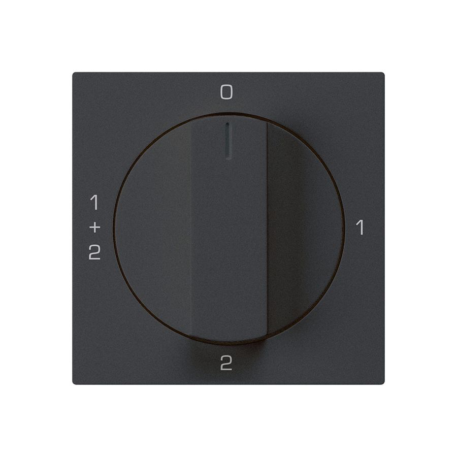 Einsatz zu Drehschalter kallysto 1/1L schwarz mit Drehgriff