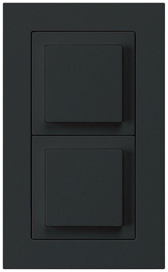 UP-Kombination kallysto.pro Gr.I-I vertikal Schalter S3+Impulstaster schwarz