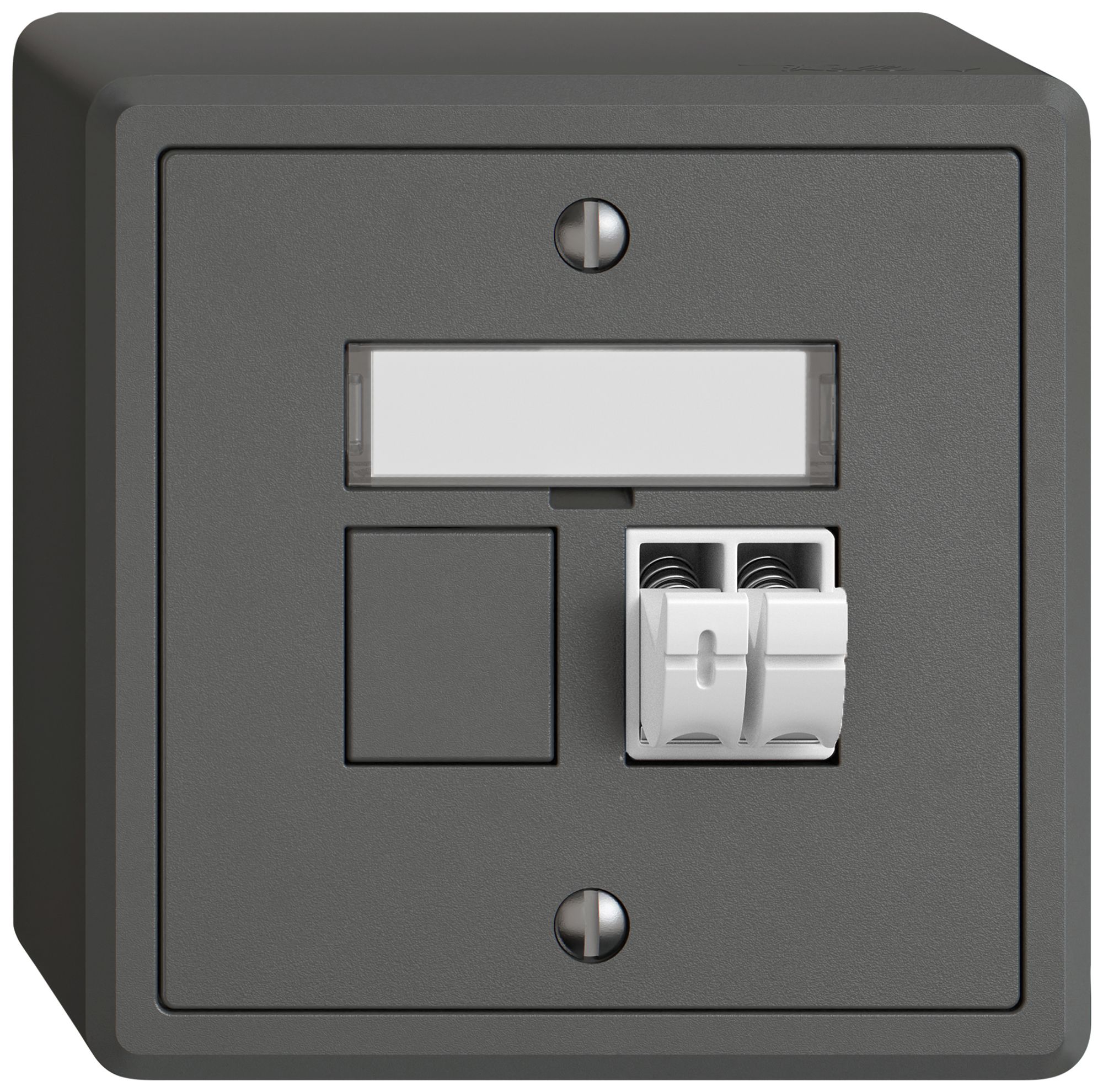 Presa audio AP EDIZIO.liv SNAPFIX® 1× grs