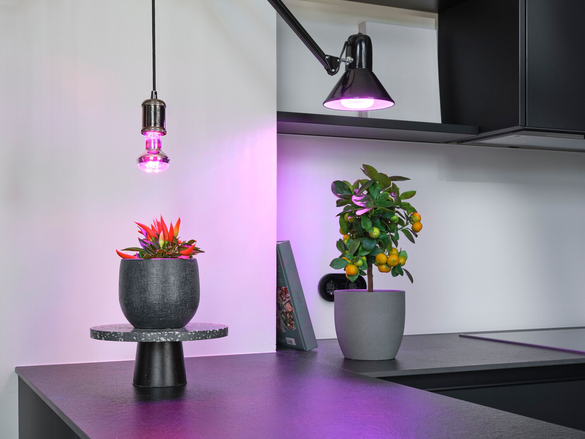 LED-Lampe LEDVANCE GROW T E27 10W 330lm klar Ø60×97mm Pflanzenlicht