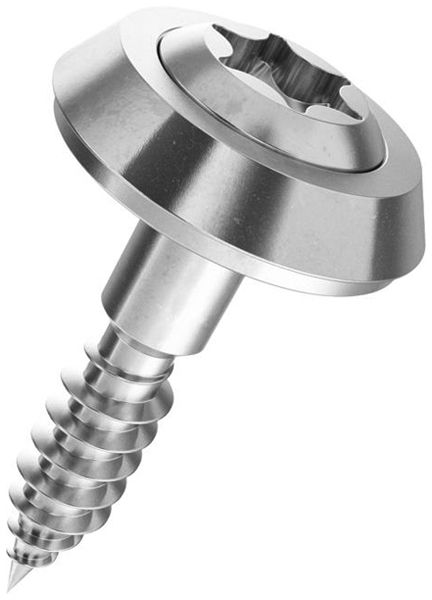 Vis pour façade à tête bombée SFS Ferronorm T25 4.5×45mm