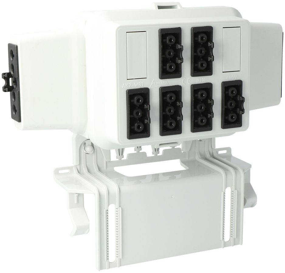 Boîtier AGRO, in: 5P no, out: chacun 2×3P no L1/L2/L3, Wieland