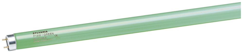Lampe fluorescente F T8 G13 58W vert