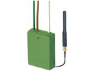 RF-Sender Yokis 2-Kanal 2.4GHz mit Antenne