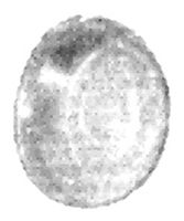 Schutzkappe Schneider Electric CH2-RT07