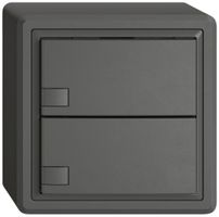 AP-Universaltaster EDIZIO.liv UNI SNAPFIX® o.LED 2× 1-Tbed.dgu