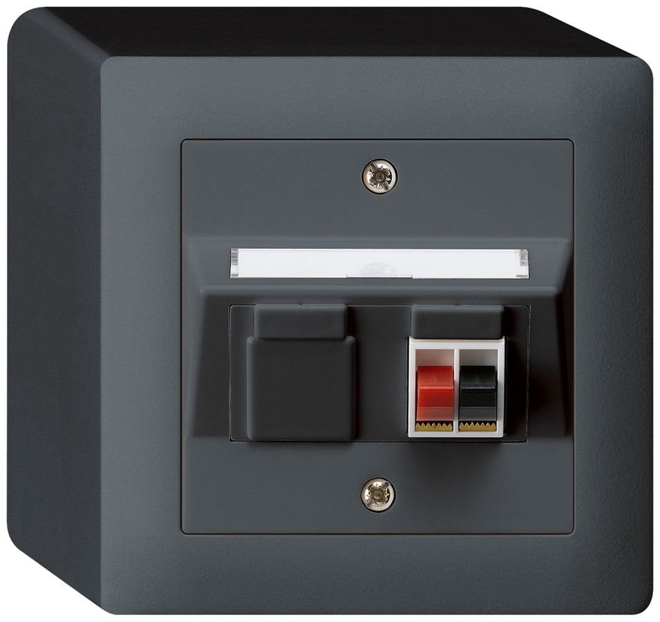 AP-Audiodose kallysto 1×anthrazit Klemmanschluss für 1 LS