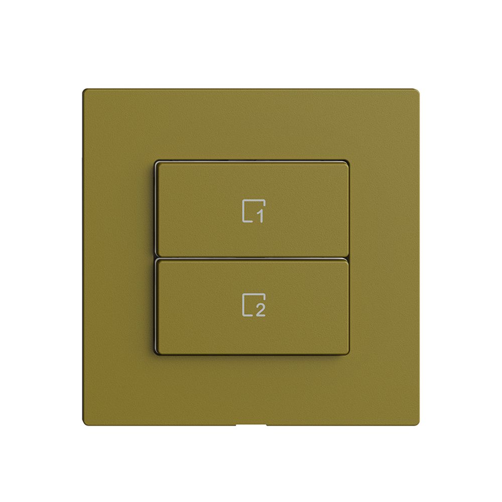 Commande pour poussoir scène 2 scènes vert./2T Edue Wiser olive