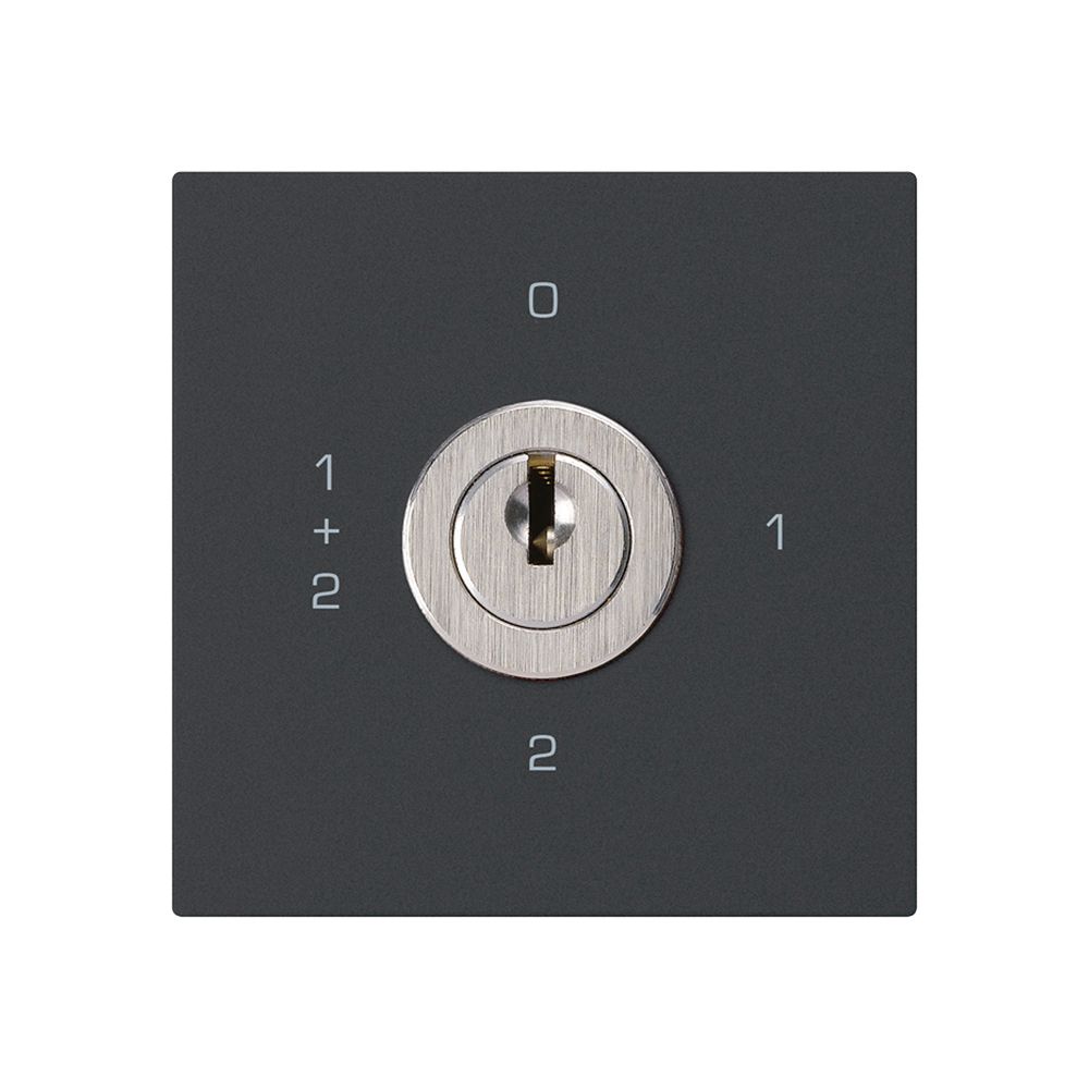 Intérieur interrupteur à clé kallysto 1/1L noir avec serrure Kaba 8