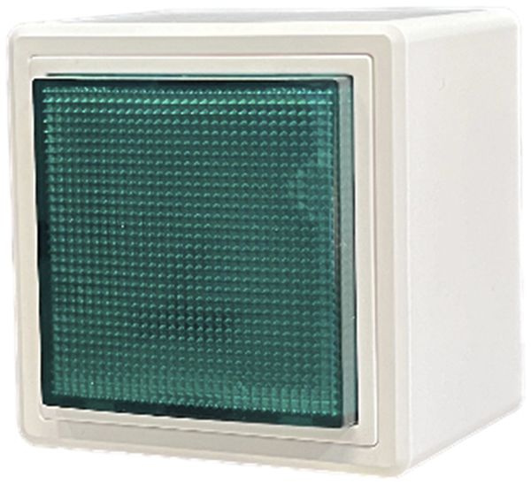 Lampe flash AP Hugentobler 016LA 230V AC IP21 Xe 5J vert