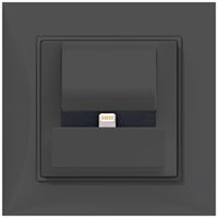 UP-Docking-Station ABB Sidus PowerDock LC, m.Apple lightning, anthrazit