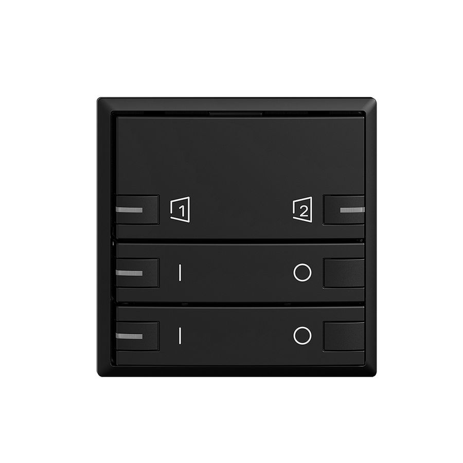 Frontplatte EDIZIOdue zeptrionAIR ON/OFF 2K S1/S2 mit LED schwarz