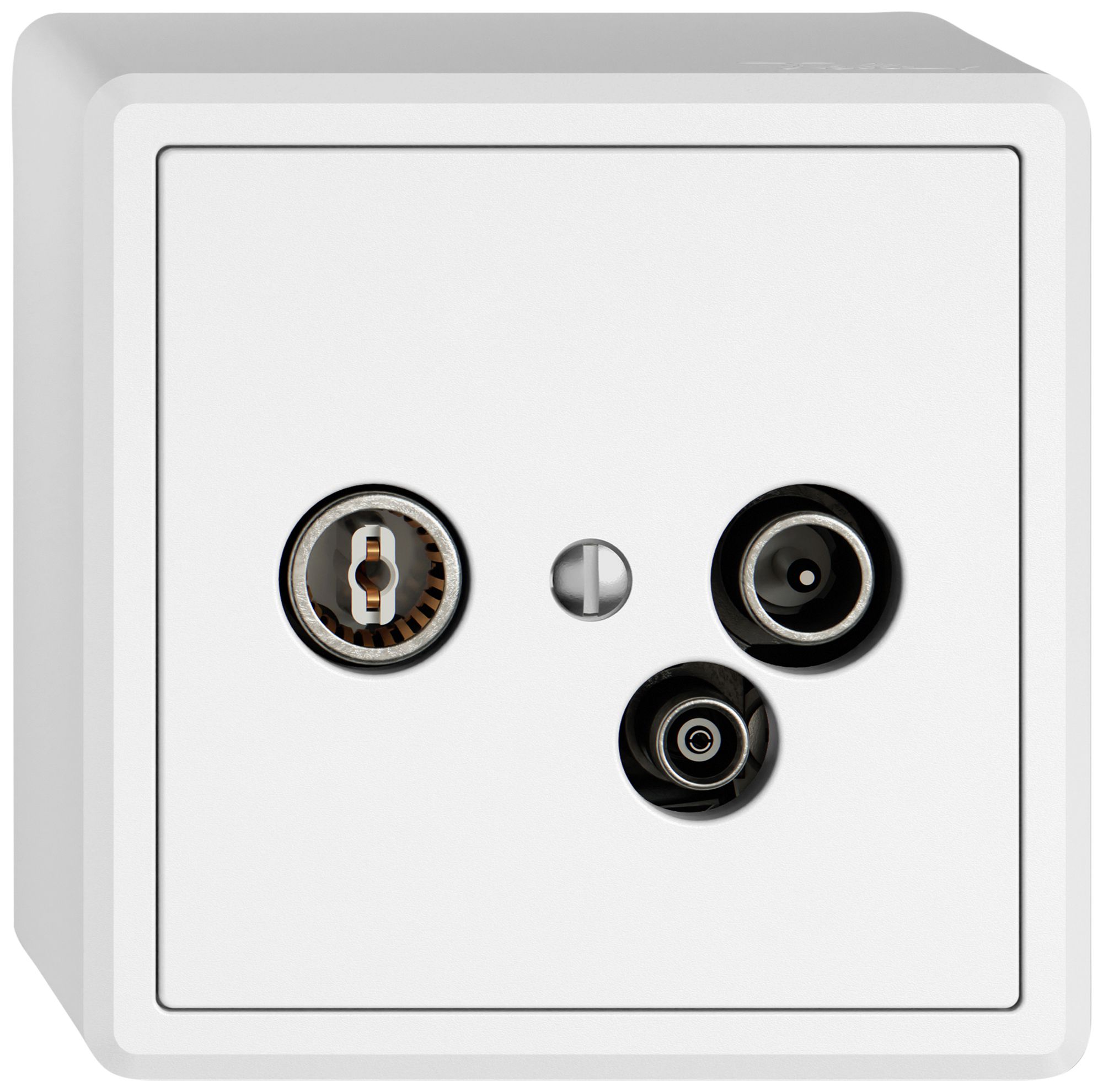 Presa antenna AP TV-R-dati EDIZIO.liv SNAPFIX® 19dB bi