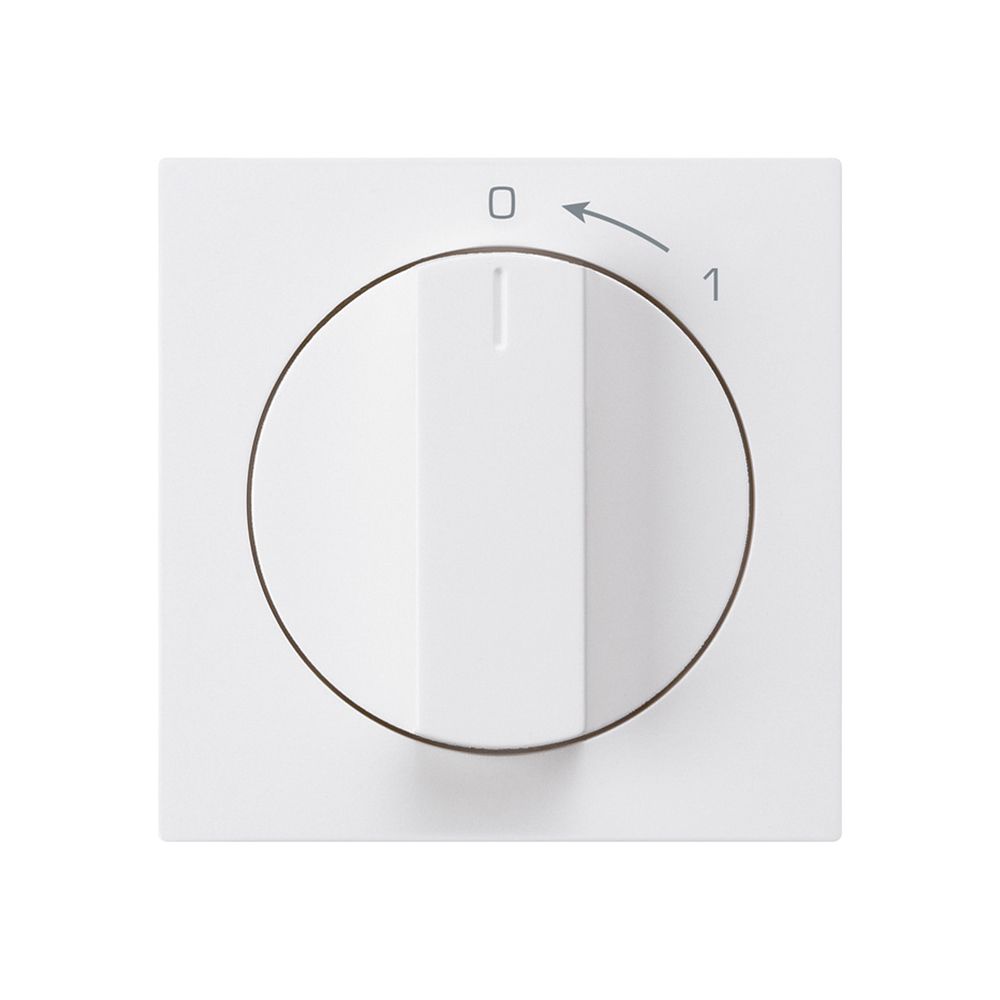 Frontset für Schwenktaster weiss 60×60mm kallysto 0<-1