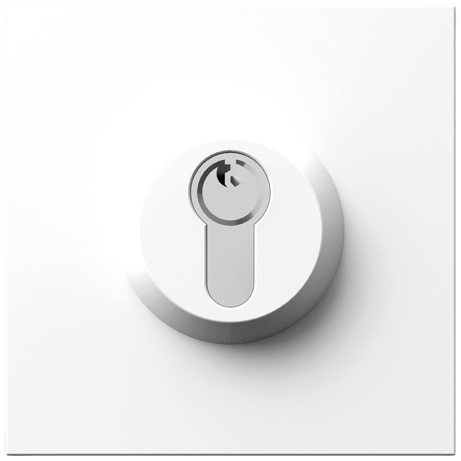 Schloss-Modul Siedle systemunabhängig 0…48V weiss