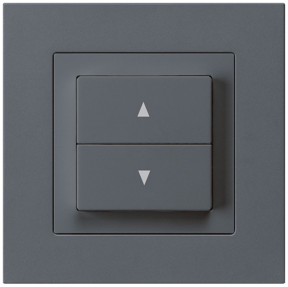 UP-Storentaster kallysto.pro anthrazit mit 2 Funktionstasten Steckklemme