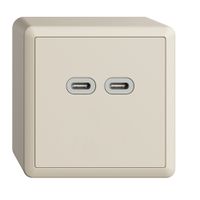 AP-Steckdose USB 18W 2×Typ C Feller EDIZIOdue FX54 230V 3600mA crema