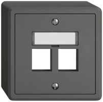 AP-Montageset EDIZIO.liv Keystone SNAPFIX® gerade 2× dgu