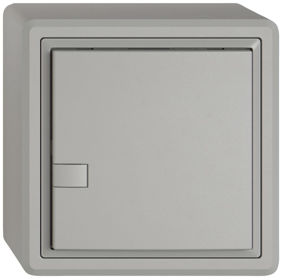 Pulsante universale AP EDIZIO.liv UNI SNAPFIX® 5…48V s.LED 1× com.1T grc